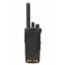 DP4600/01